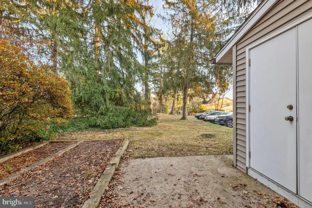 a view of a yard with large tree