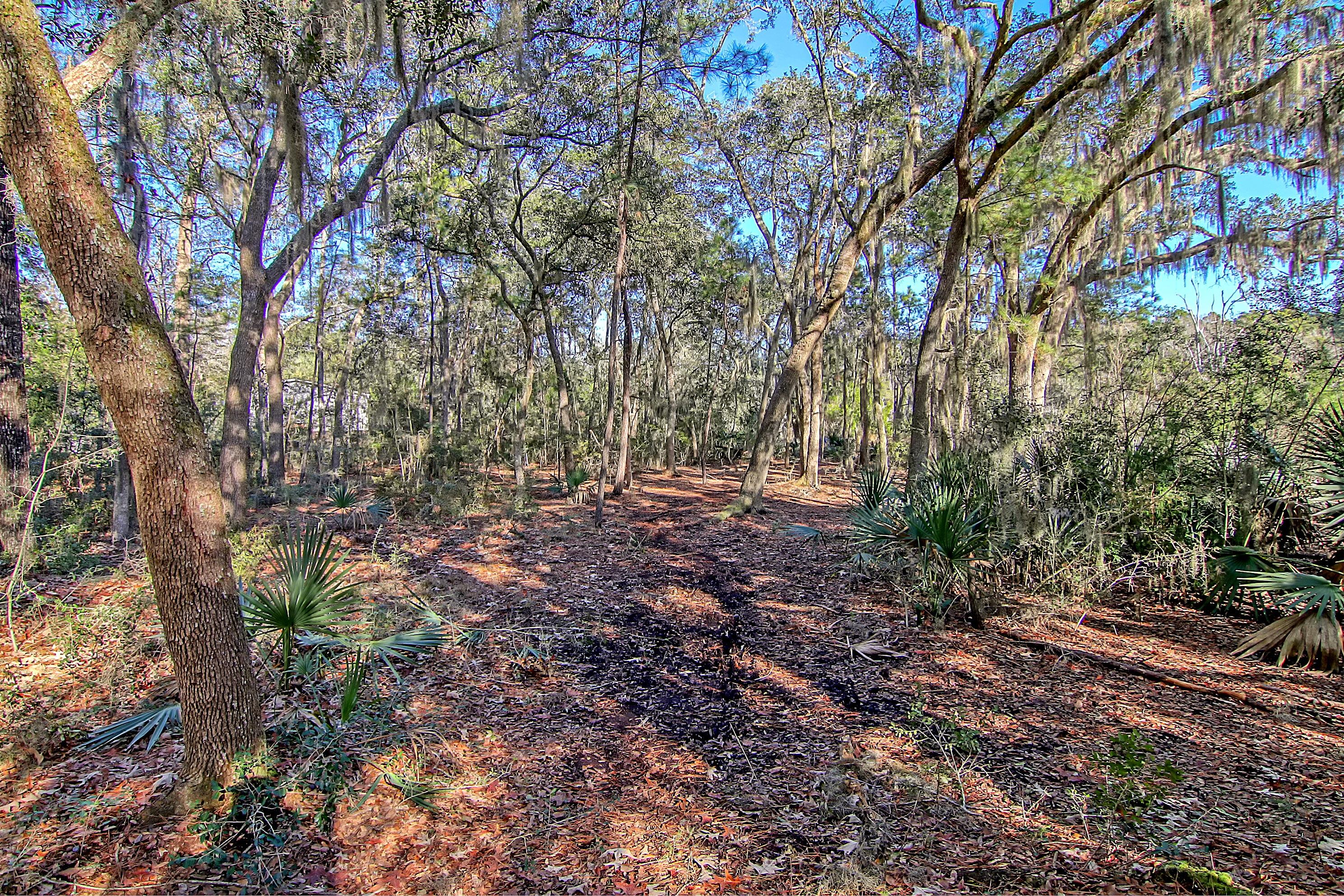 4650 Burdens Road Meggett, SC 29449 - Photo 41 of 72 CREM_4650 Burdens_021