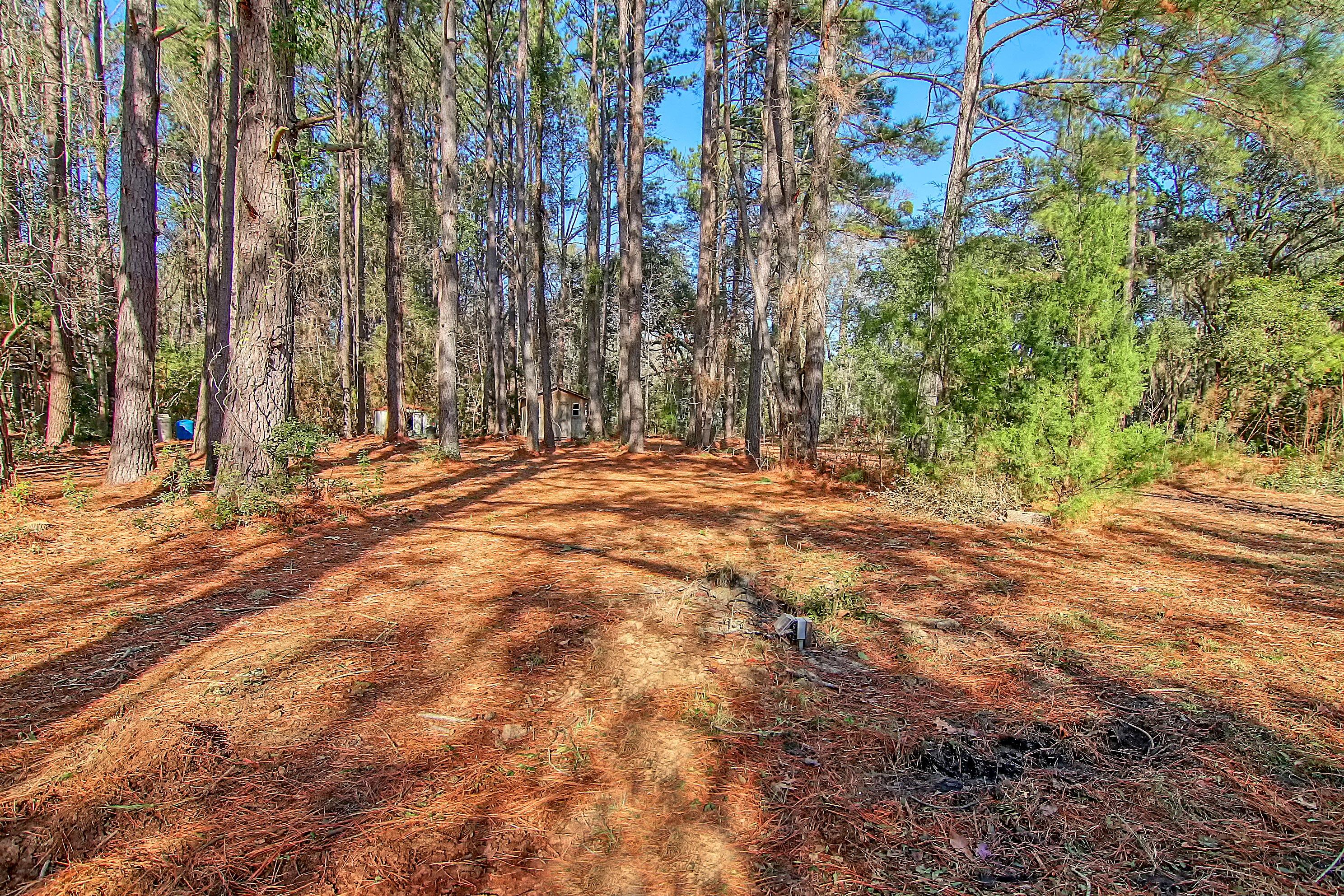 4650 Burdens Road Meggett, SC 29449 - Photo 42 of 72 CREM_4650 Burdens_028
