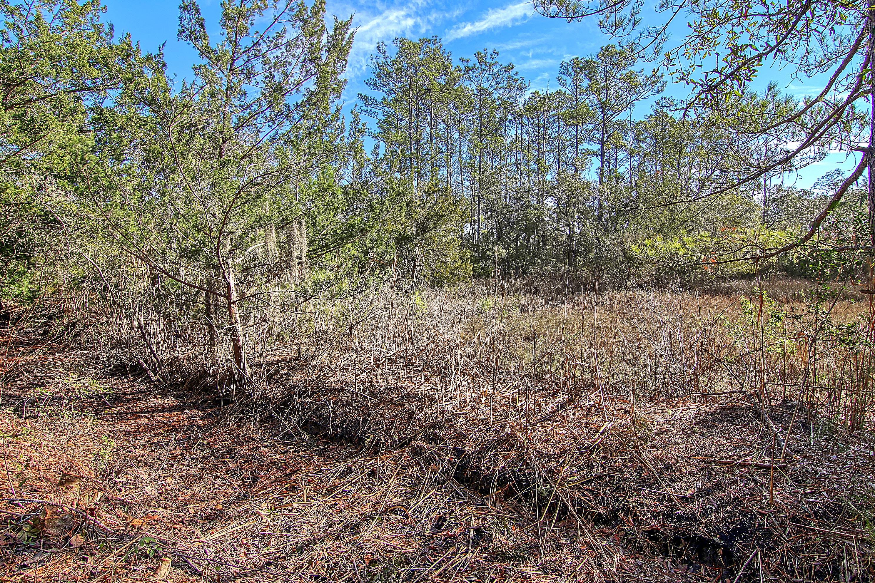 4650 Burdens Road Meggett, SC 29449 - Photo 58 of 72 CREM_4650 Burdens_029