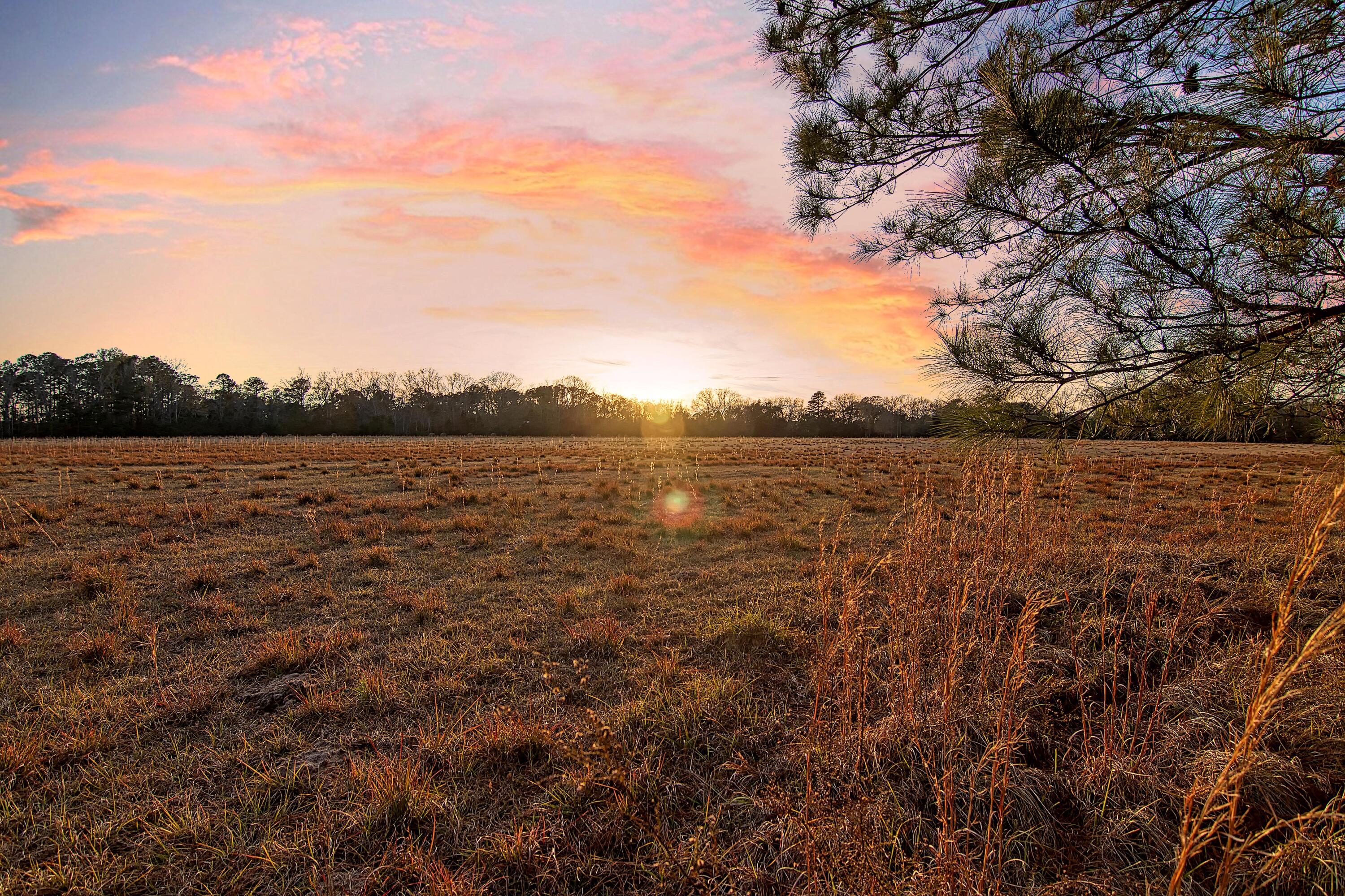 4650 Burdens Road Meggett, SC 29449 - Photo 59 of 72 CREM_4650 Burdens twilight_001