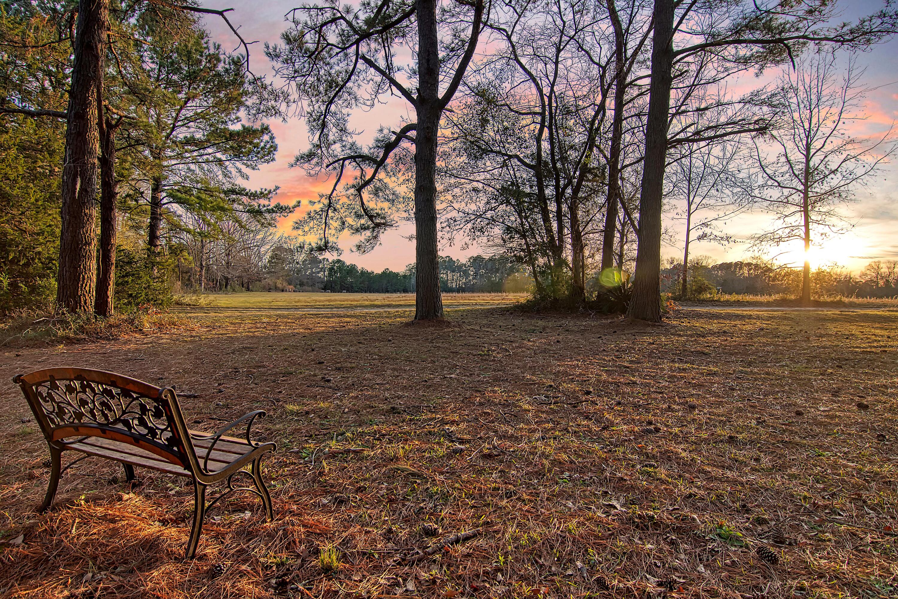 4650 Burdens Road Meggett, SC 29449 - Photo 60 of 72 CREM_4650 Burdens twilight_002