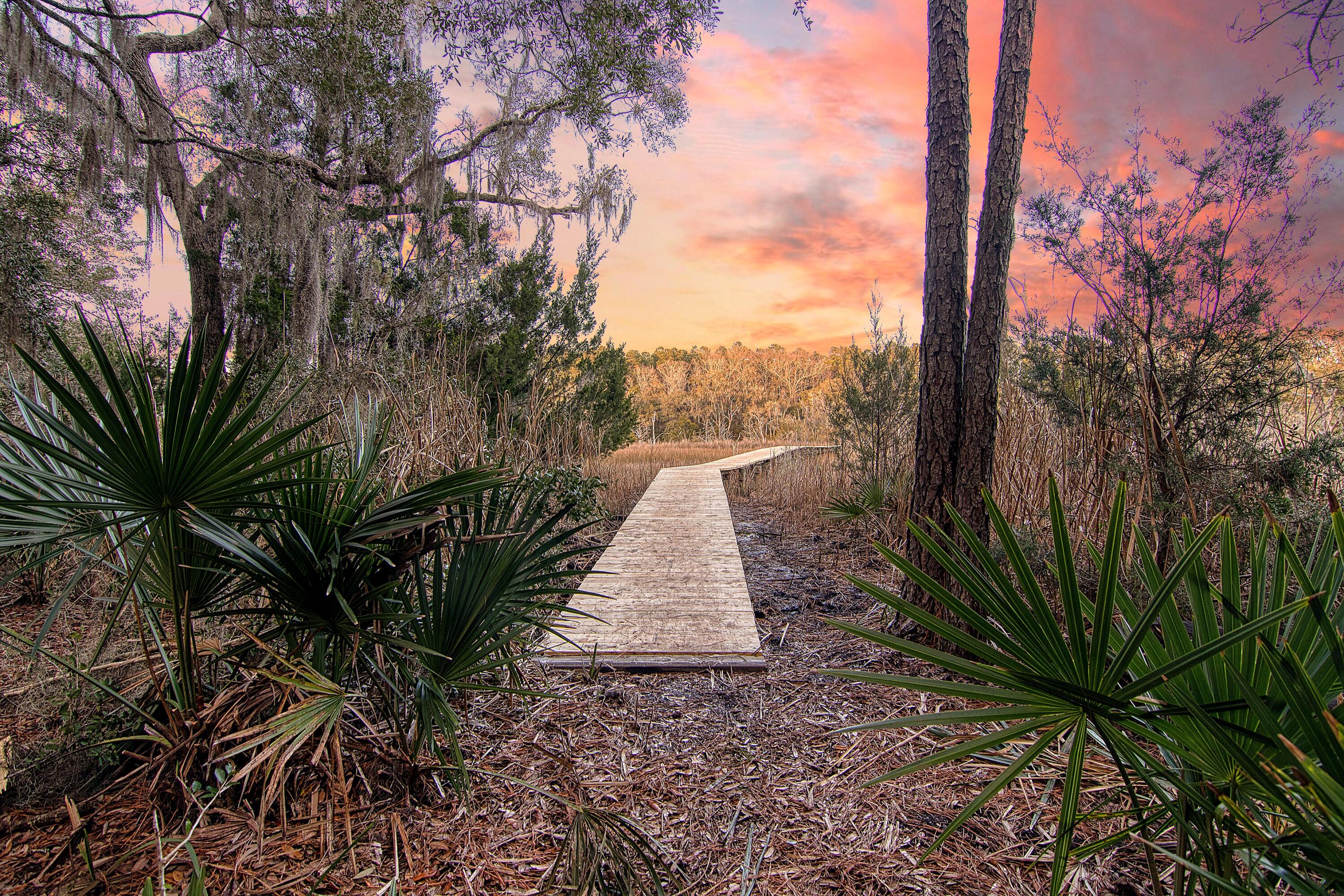4650 Burdens Road Meggett, SC 29449 - Photo 62 of 72 CREM_4650 Burdens twilight_004