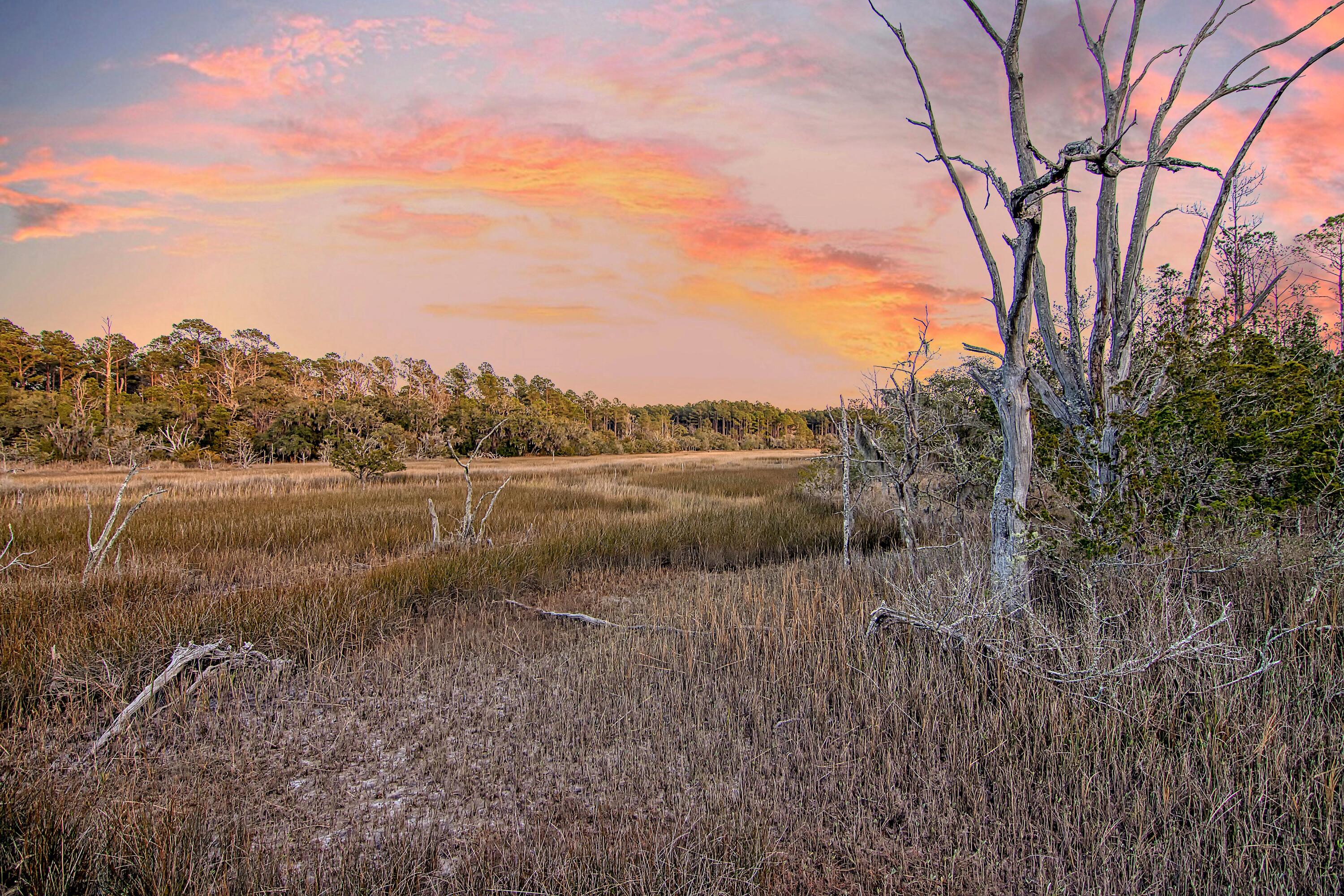 4650 Burdens Road Meggett, SC 29449 - Photo 64 of 72 CREM_4650 Burdens twilight_006
