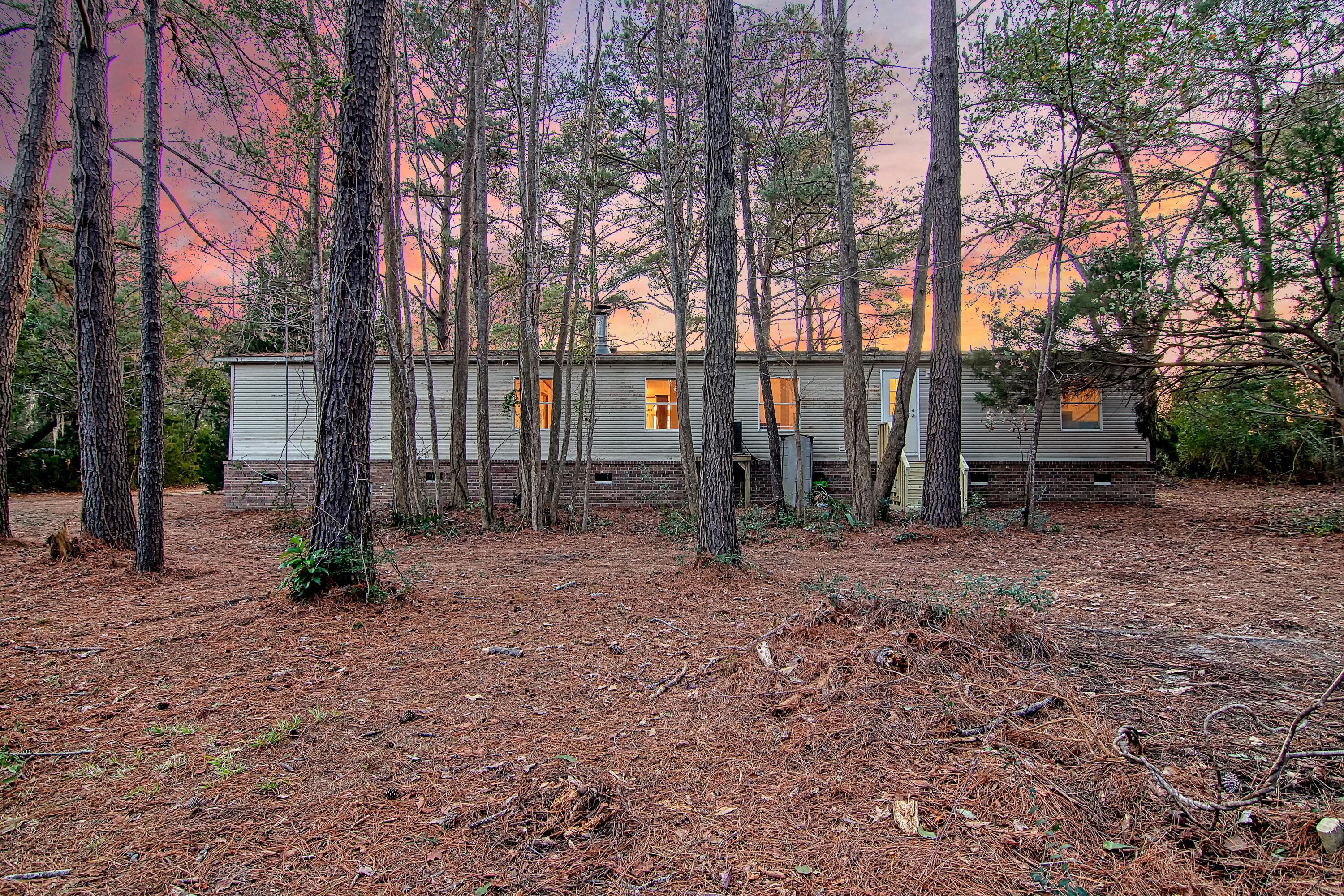 4650 Burdens Road Meggett, SC 29449 - Photo 65 of 72 CREM_4650 Burdens twilight_007