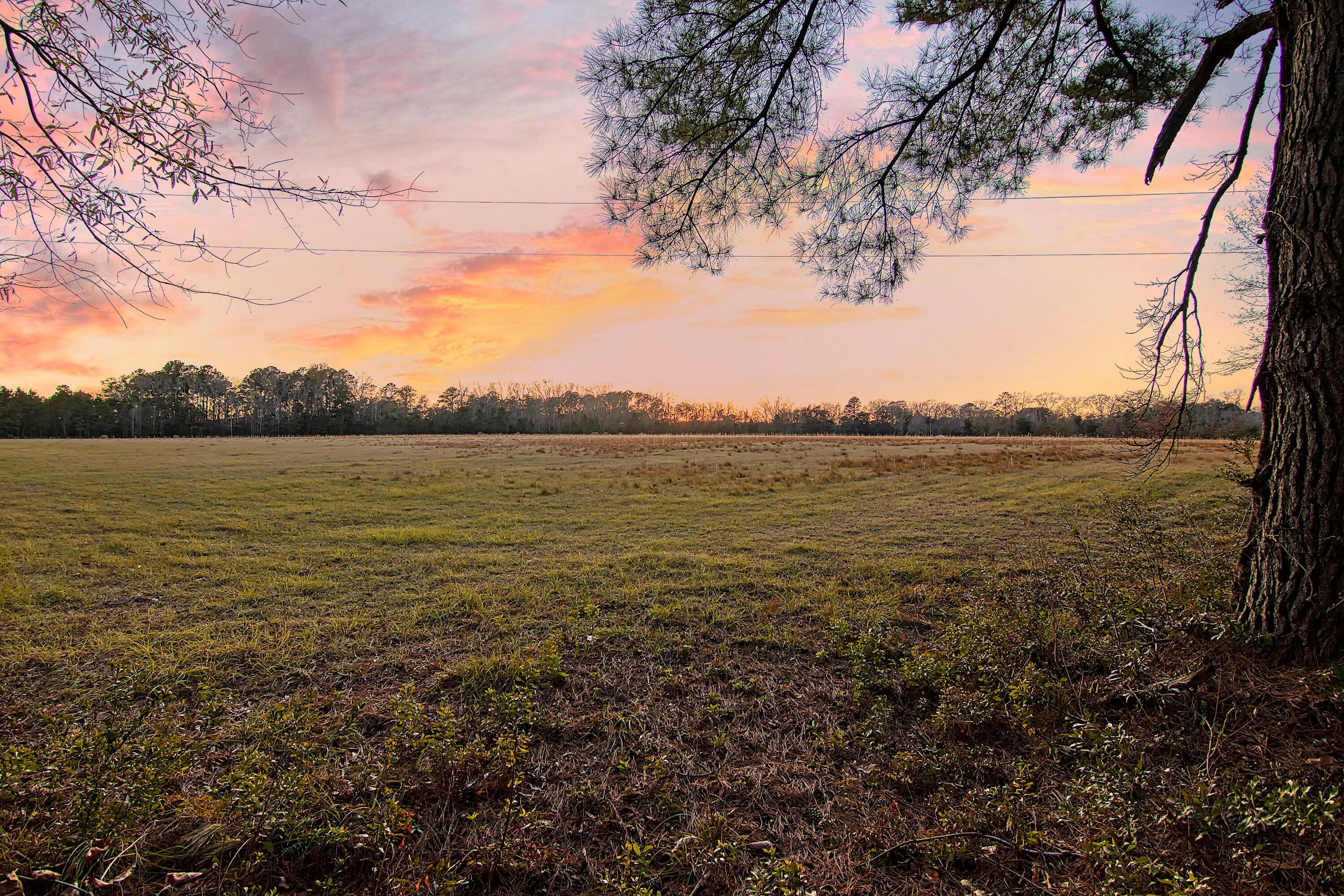 4650 Burdens Road Meggett, SC 29449 - Photo 66 of 72 CREM_4650 Burdens twilight_008