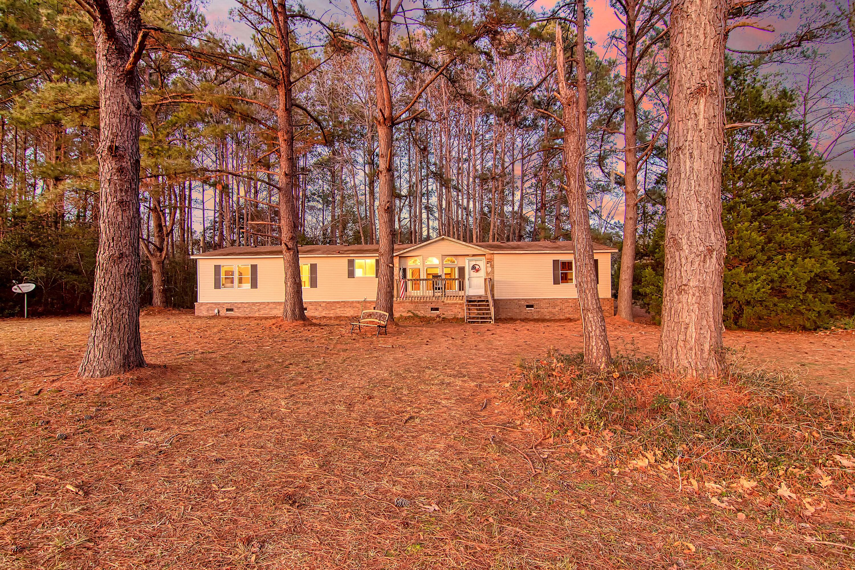 4650 Burdens Road Meggett, SC 29449 - Photo 68 of 72 CREM_4650 Burdens twilight_010