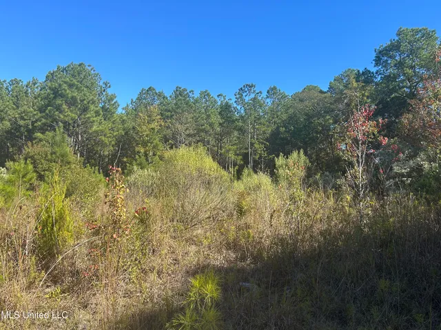 $1,410,000 | 80 North Highway 80, Pearl, MS 39208