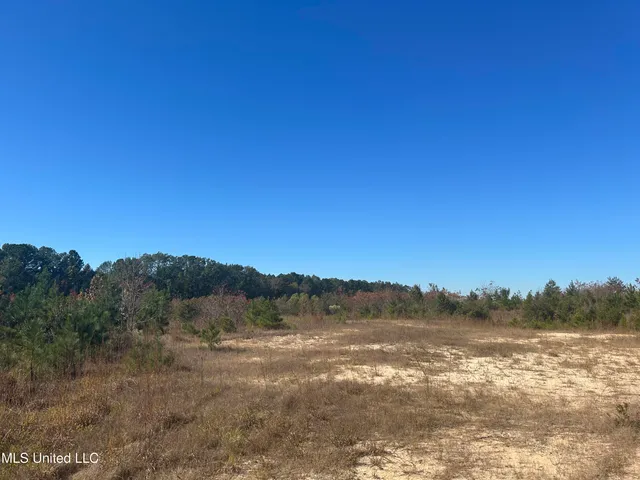 $1,410,000 | 80 North Highway 80, Pearl, MS 39208