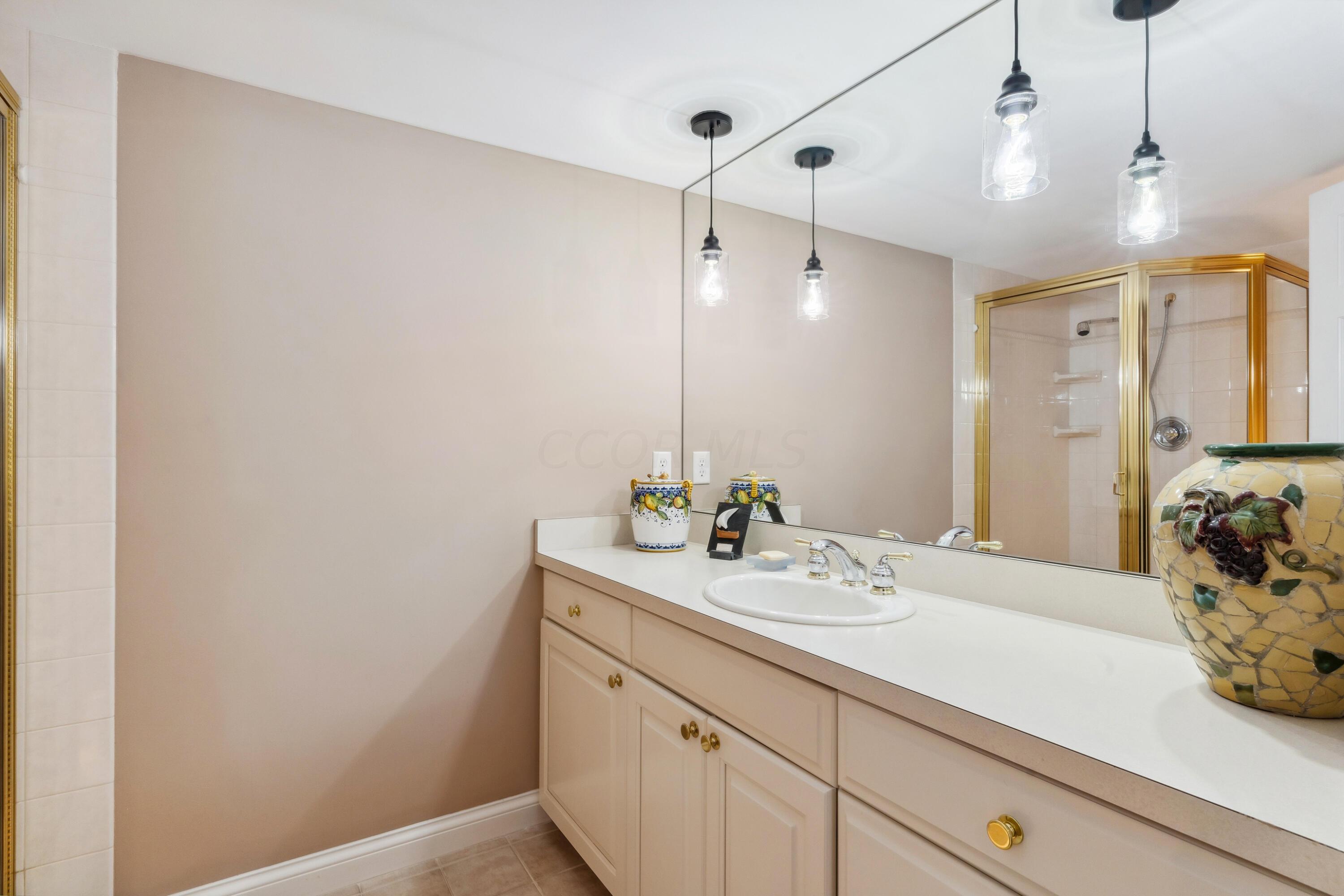4772 Shire Ridge Road East Hilliard, OH 43026 - Photo 56 of 104 Lower Level Bath