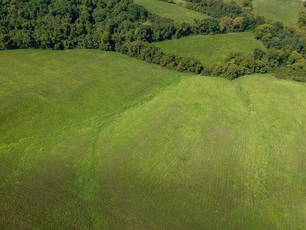 Undisclosed Address Dry Ridge, KY 41035 - Photo 8 of 18 Cull 8