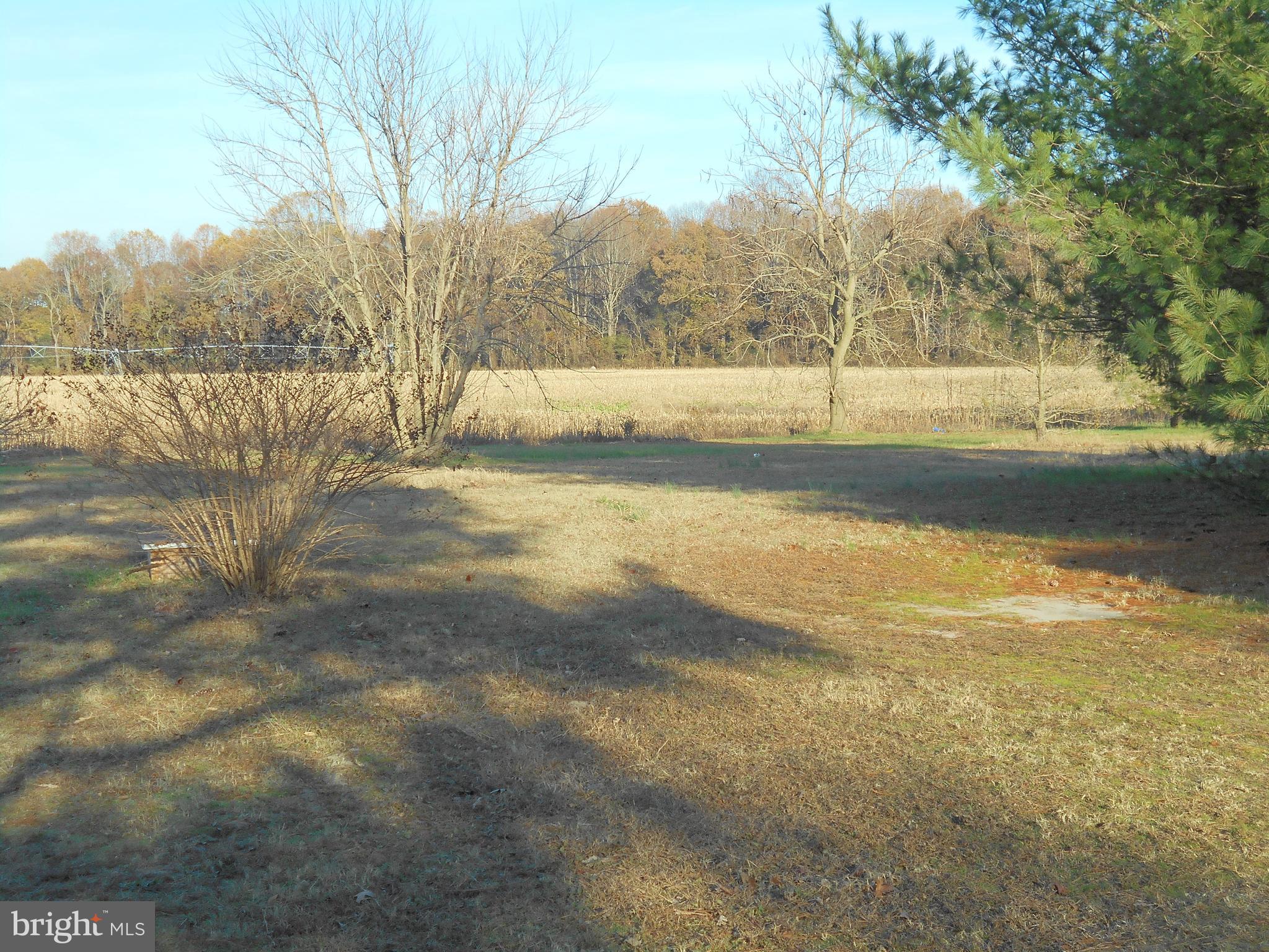 5030 Mt Zion Road Hurlock, MD 21643 - Photo 5 of 15 Gallery Image 5