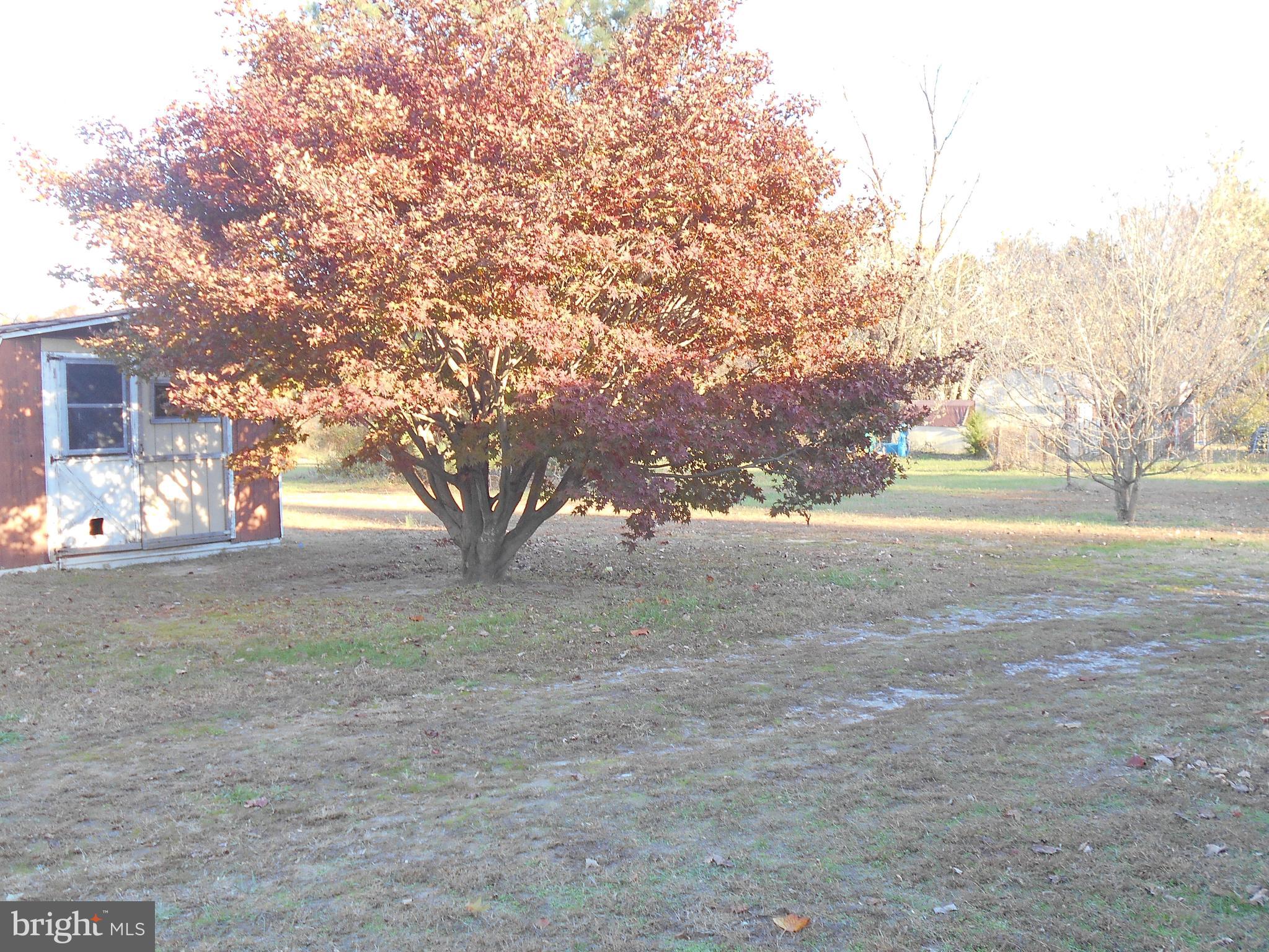 5030 Mt Zion Road Hurlock, MD 21643 - Photo 7 of 15 Gallery Image 7