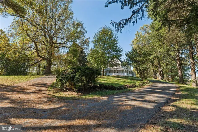 a view of a yard with large trees