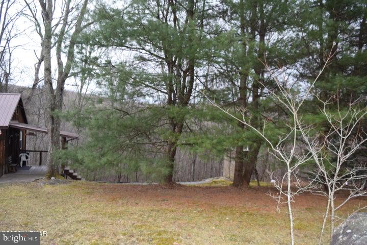 853 Bear Ridge Road Orviston, PA 16864 - Photo 18 of 23 Gallery Image 18