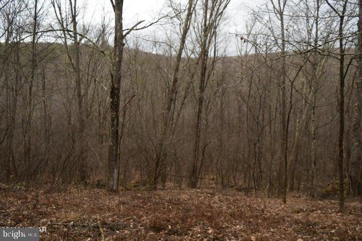 853 Bear Ridge Road Orviston, PA 16864 - Photo 19 of 23 Gallery Image 19