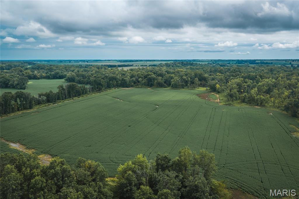 0 State Highway Rutledge, MO 63563 - Photo 1 of 28 Gallery Image 1