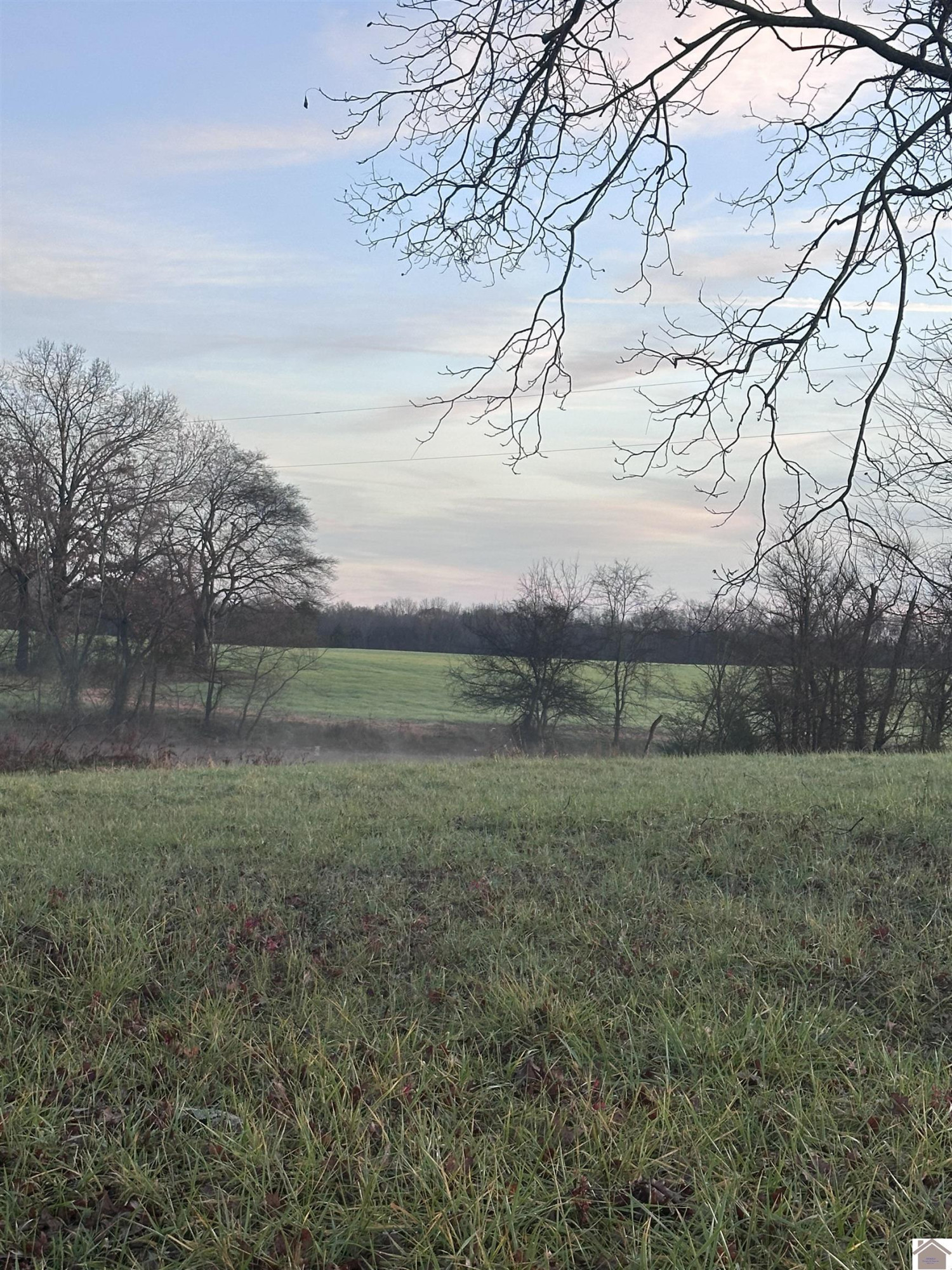 0 Elm Grove Road Almo, KY 42020 - Photo 33 of 35 Photo 33