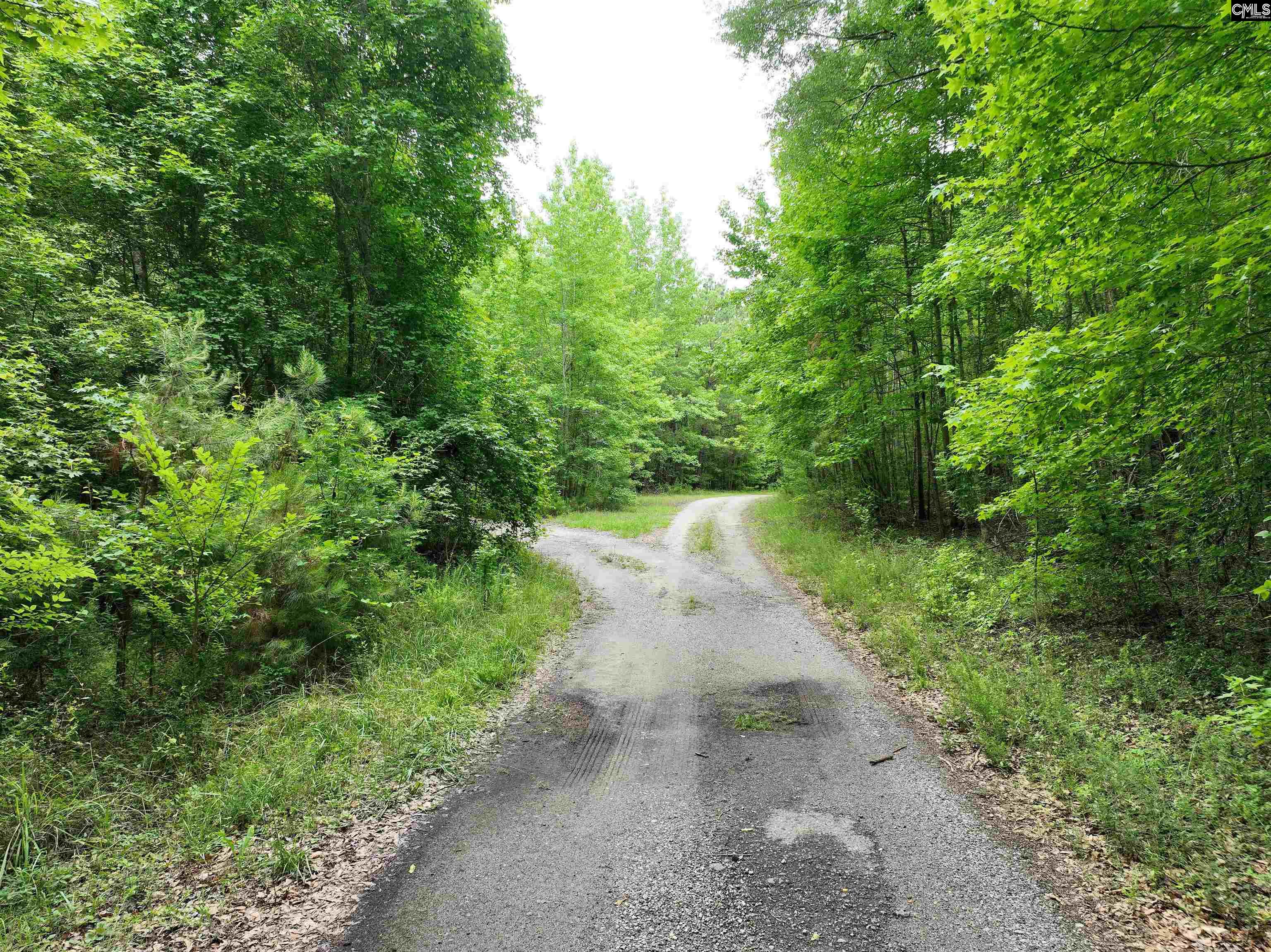 1141 Crosshill Road Hopkins, SC 29061 - Photo 35 of 38