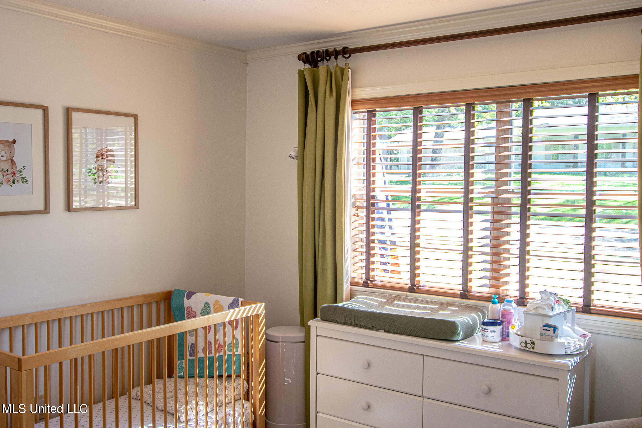 4425 Hickory Ridge Road Jackson, MS 39211 - Photo 25 of 45 DSC_0904