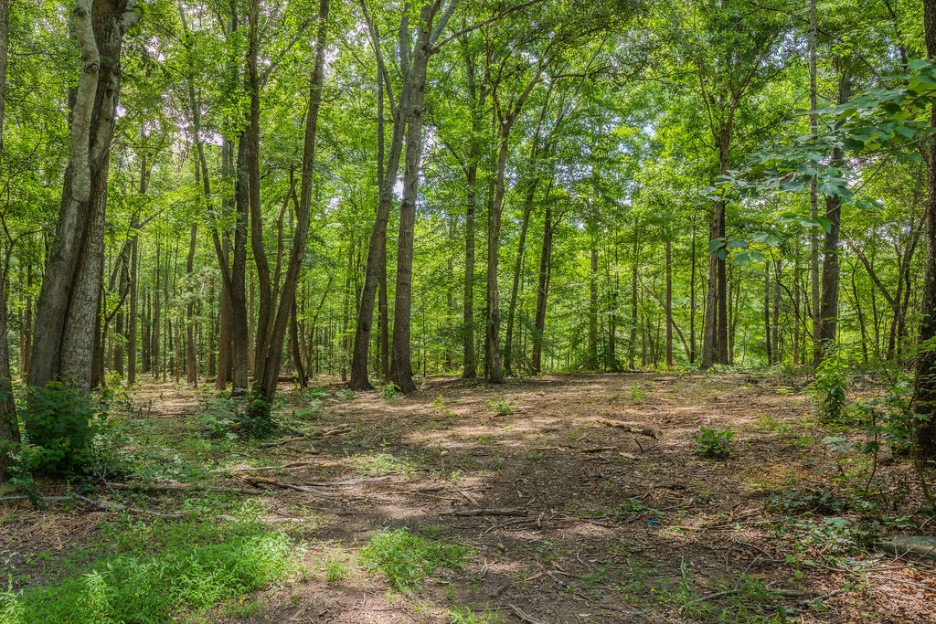 924 Spring Valley Road McMinnville, TN 37110 - Photo 55 of 60