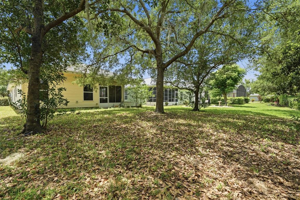 4962 Rainbow Trout Road Tavares, FL 32778 - Photo 44 of 53