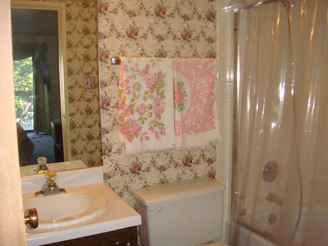6443 Clarendon Hills Road, Unit 202 Willowbrook, IL 60527 - Photo 11 of 18 a bathroom with a sink and a mirror