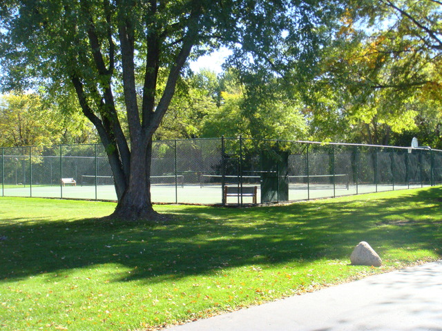 6443 Clarendon Hills Road, Unit 202 Willowbrook, IL 60527 - Photo 17 of 18 a view of swimming pool with a backyard