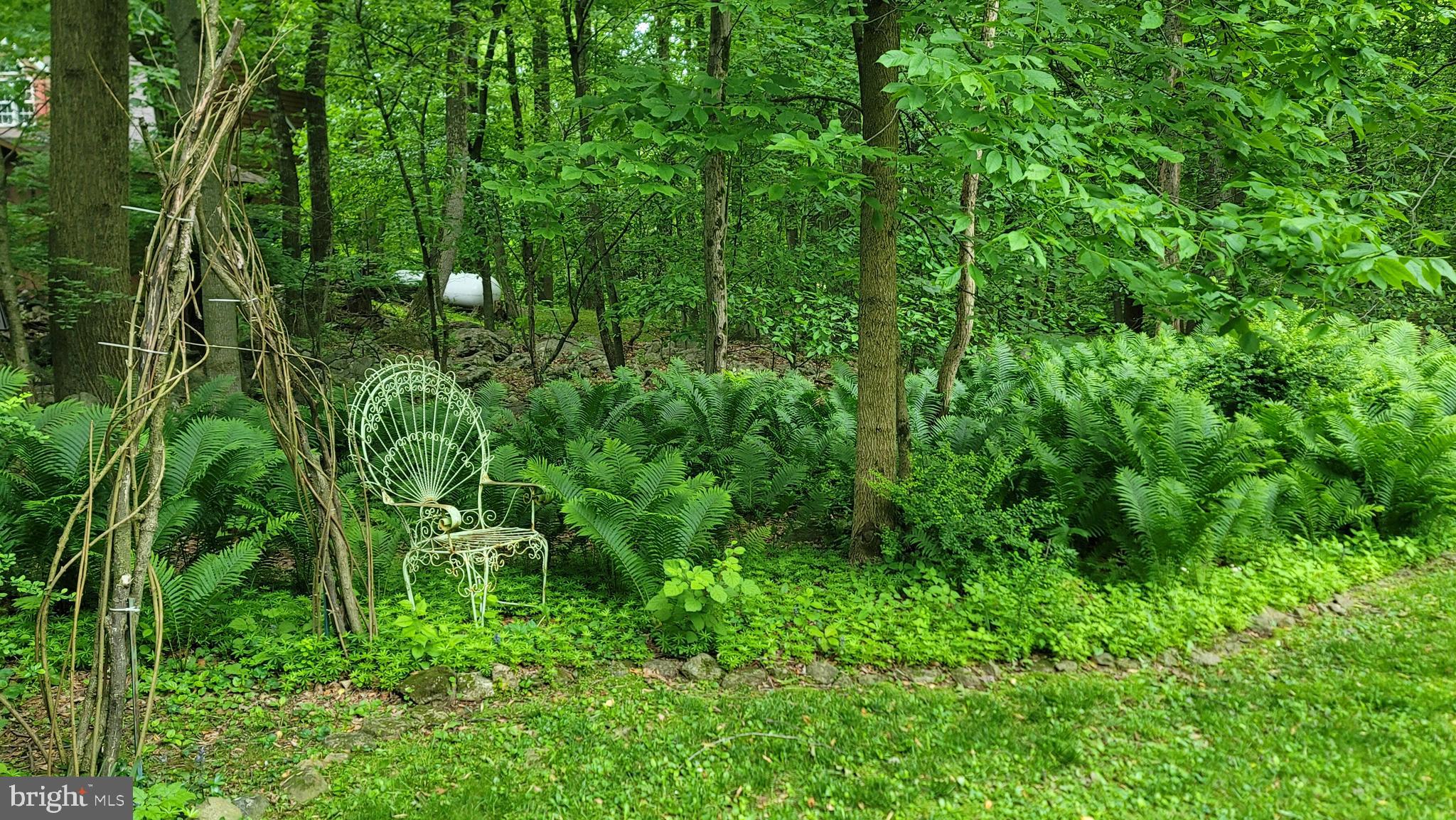 212 Haag Road Reading, PA 19606 - Photo 42 of 56 a view of a forest