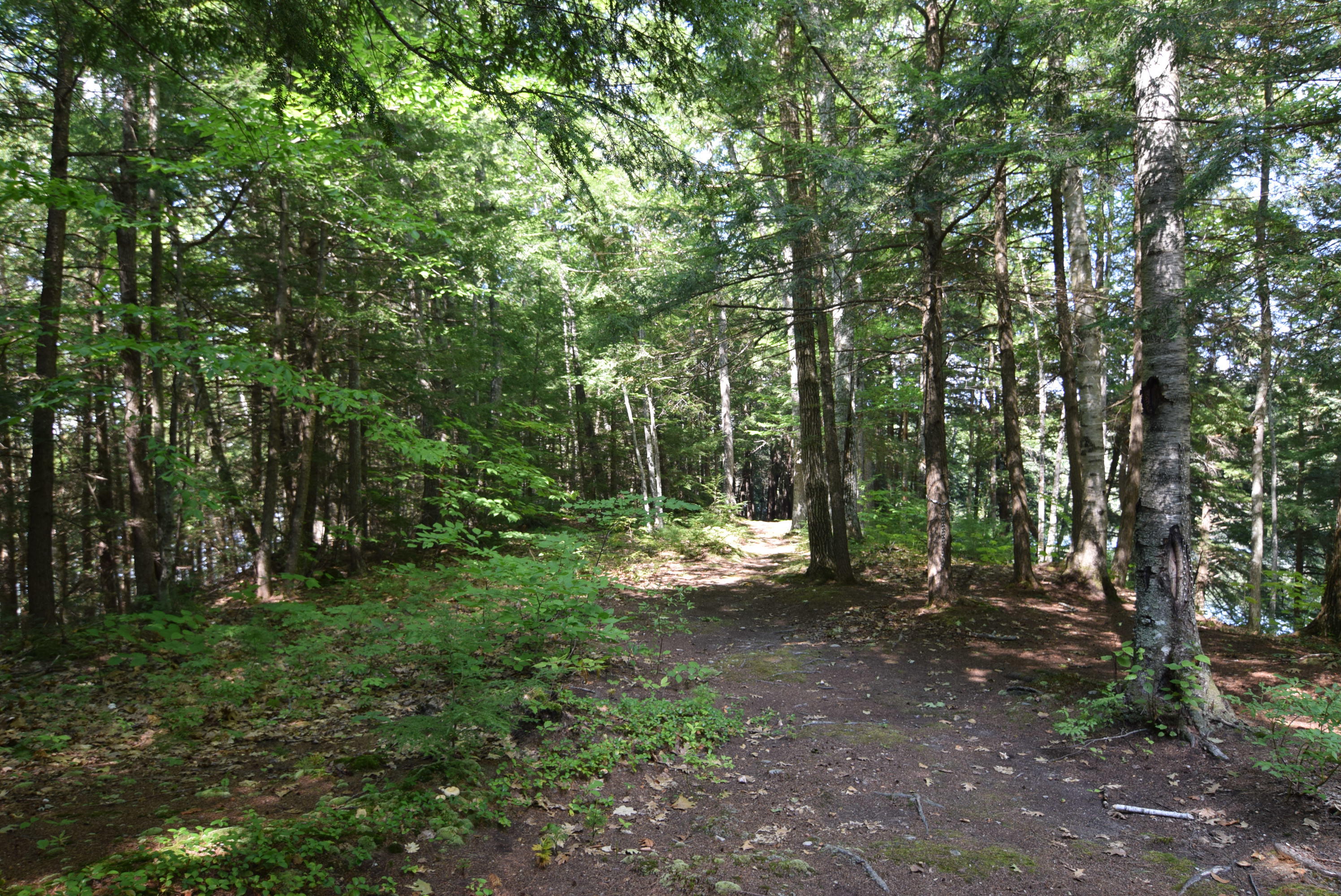 236 Chesterville Ridge Road Kents Hill, ME 04349 - Photo 30 of 41 30-island scenery