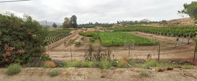 a view of a bunch of trees