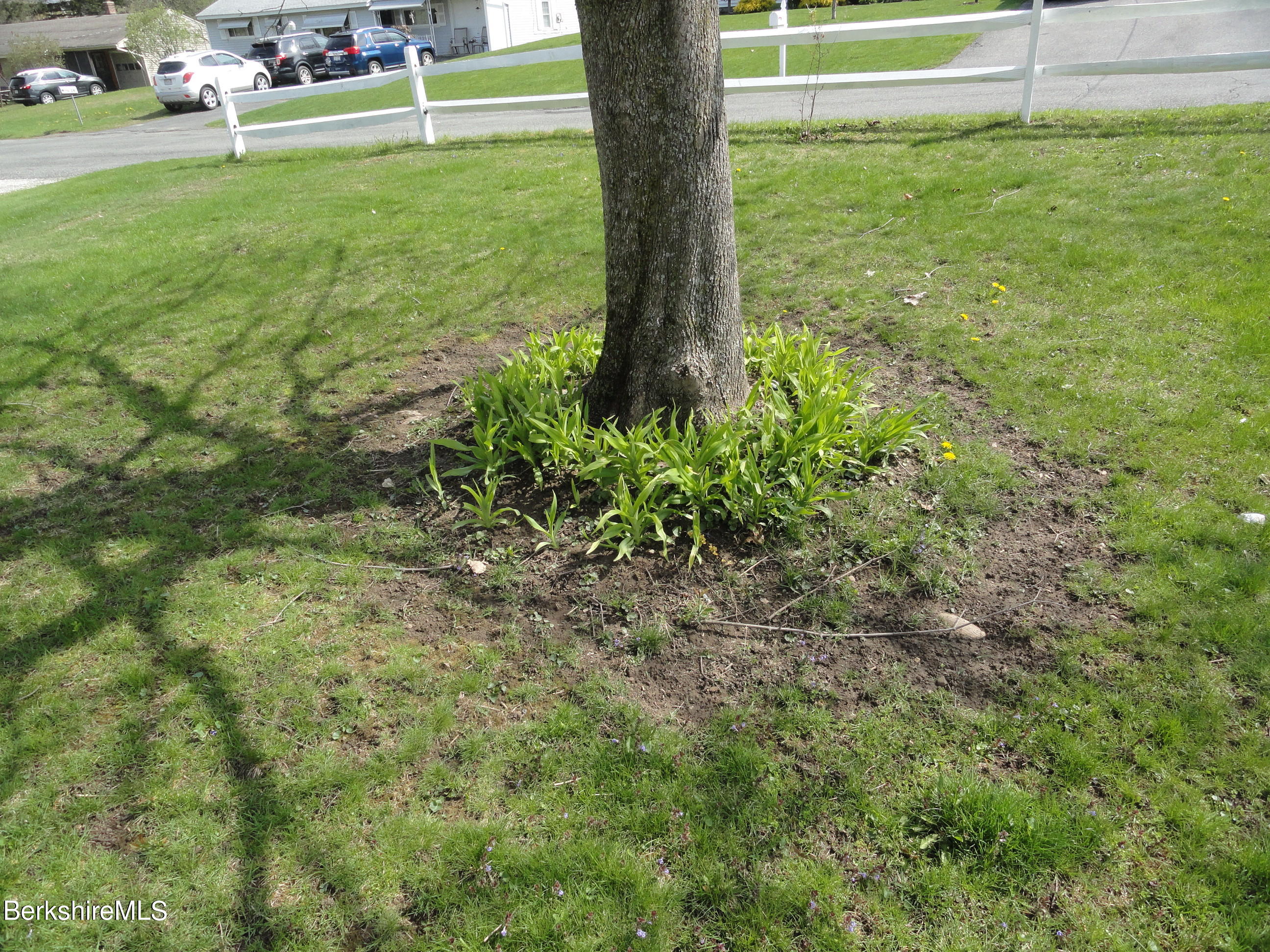 31 Edgemere Road Dalton, MA 01226 - Photo 4 of 10 Front Yard