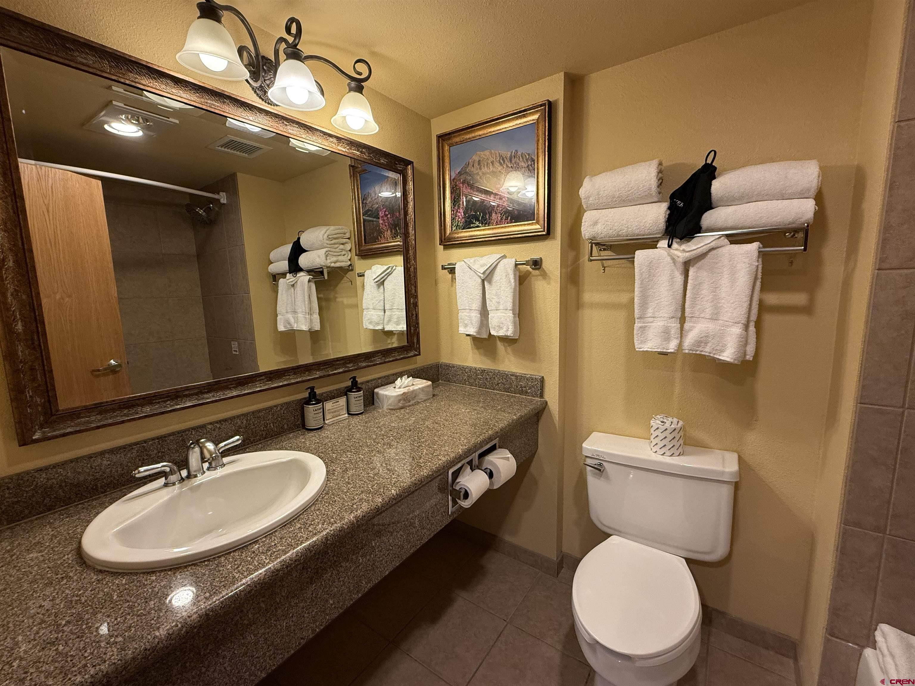 6 Emmons Road, Unit 422 Crested Butte, CO 81225 - Photo 17 of 33