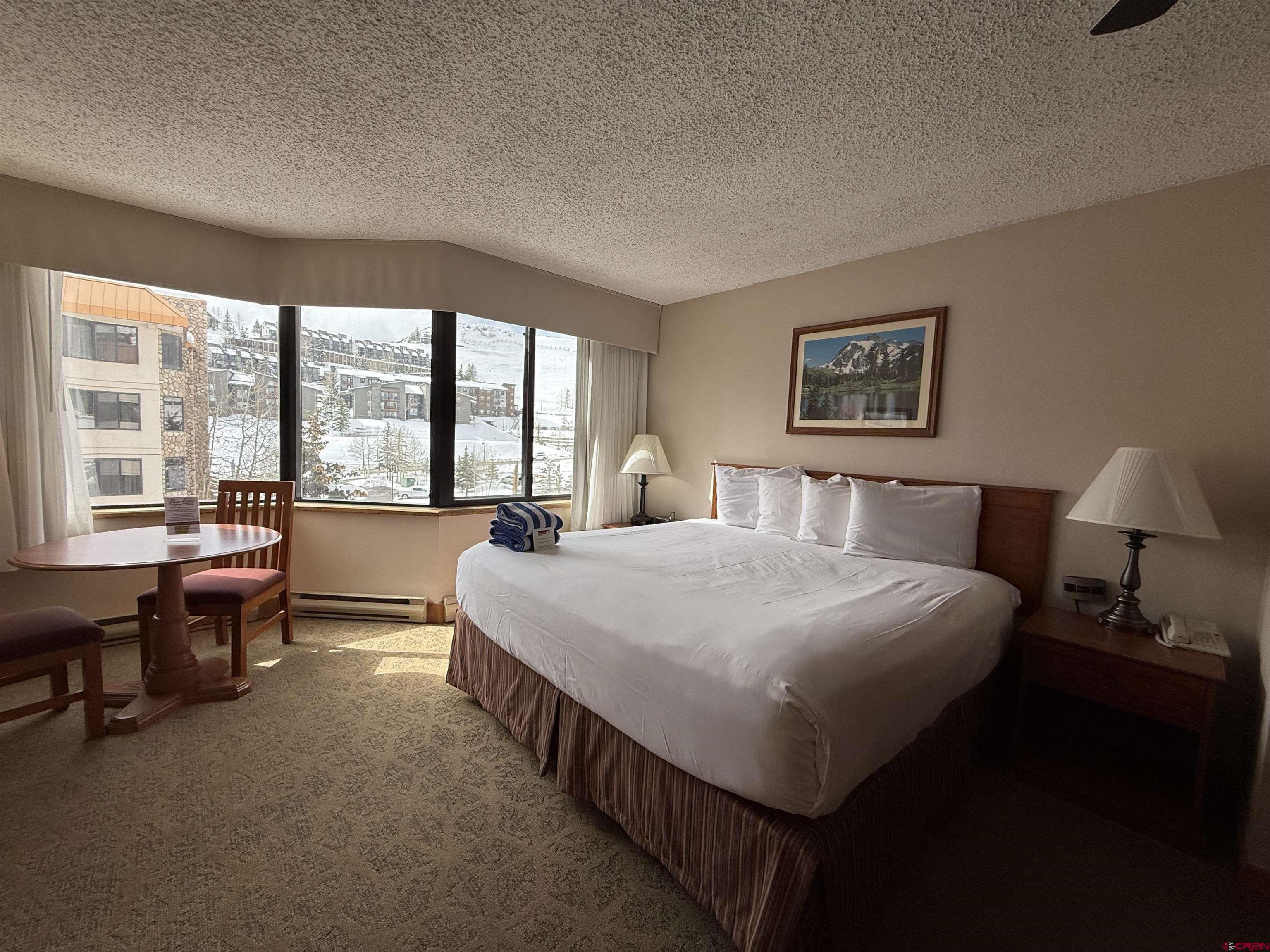 6 Emmons Road, Unit 422 Crested Butte, CO 81225 - Photo 5 of 33