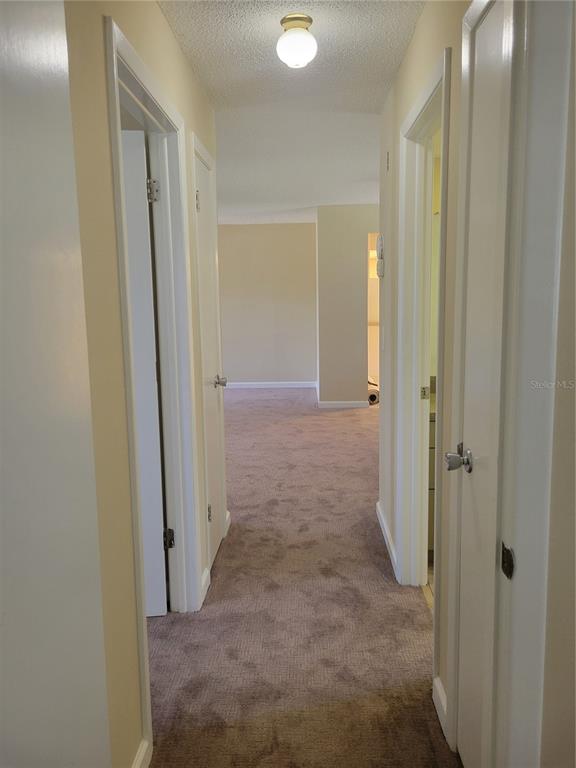 9022 Lingrove Road Weeki Wachee, FL 34613 - Photo 26 of 50