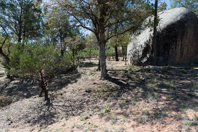 a view of a backyard