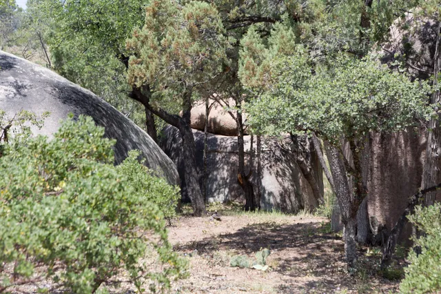 $208,500 | 910 South Monument Valley, Unit 149, Payson, AZ 85541