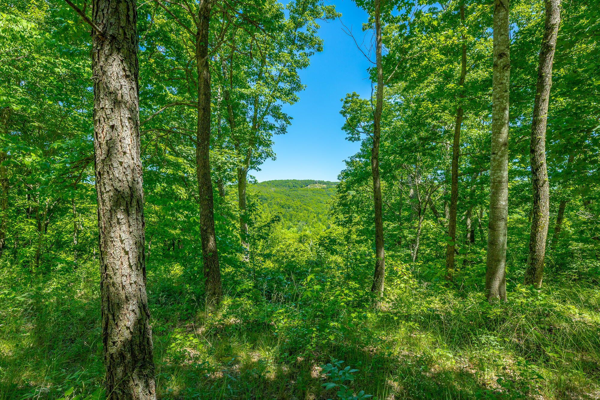 0 Split Rail Way, Unit 1349 Guild, TN 37340 - Photo 7 of 108 0 Split Rail Way - Lot 1349 HD-57