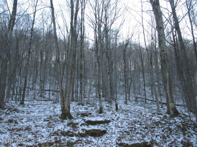 655 Fairmont Road Starrucca, PA 18462 - Photo 25 of 28 Gallery Image 25