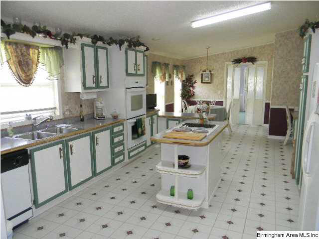 405 County Road 453 Clanton, AL 35046 - Photo 3 of 22