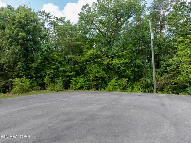 $135,000 | Lot 56 Blue Byrd Lane, Kodak, TN 37764