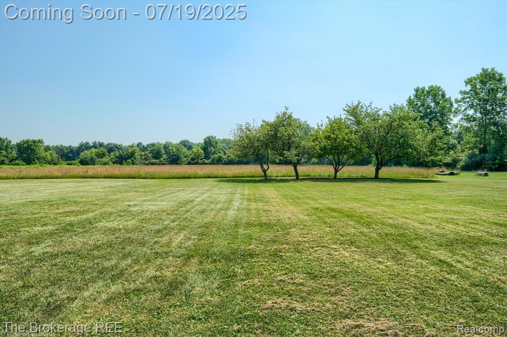9380 North Lewis Road Clio, MI 48420 - Photo 22 of 64