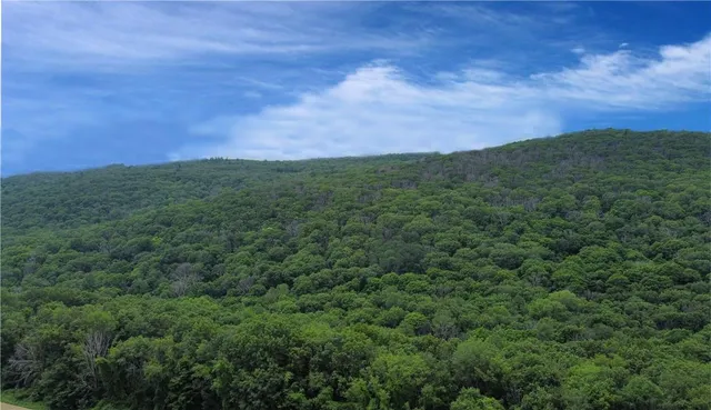 a view of a city with lush green forest