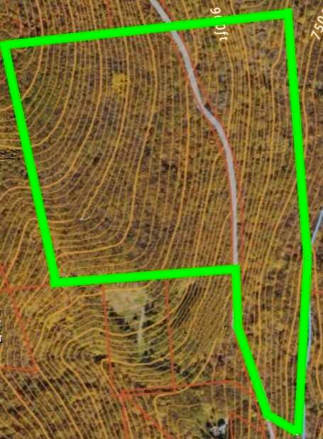 Cascade Mountain Road Amenia, NY 12501 - Photo 2 of 15 a backyard of a house with lots of green space and trees in the background