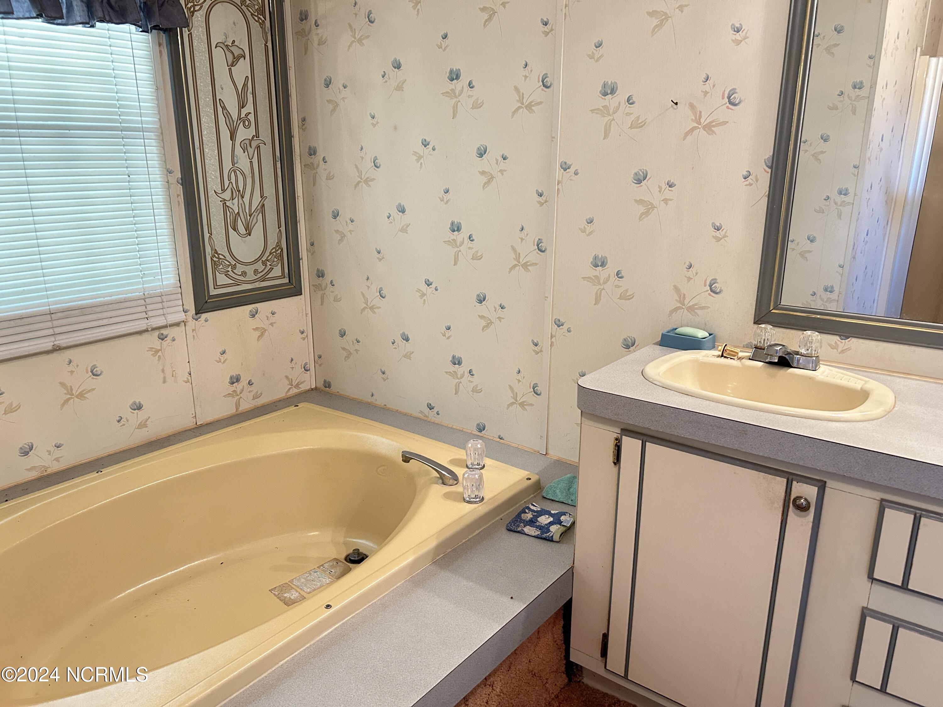 1264 Wade Road Scotland Neck, NC 27874 - Photo 25 of 46 soaking tub, double vaniety