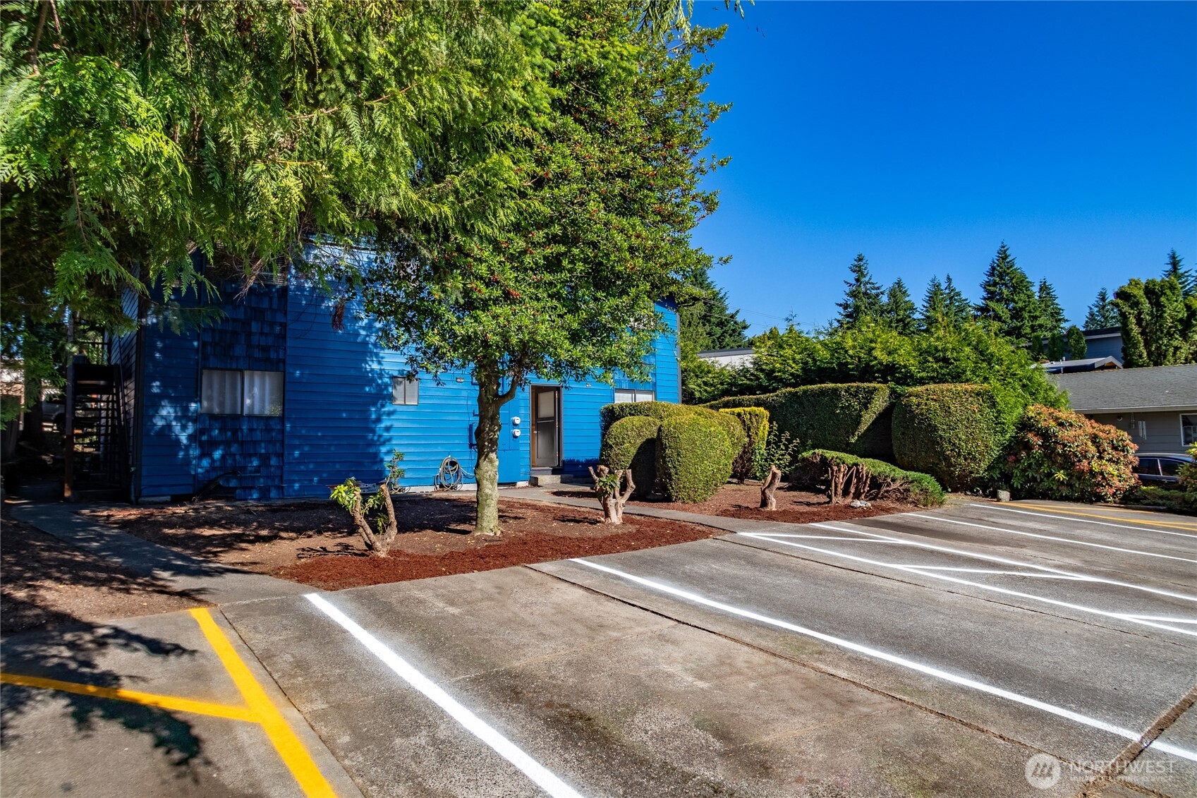15609 8th Avenue Southwest Burien, WA 98166 - Photo 2 of 26 a row of palm trees in front of a house