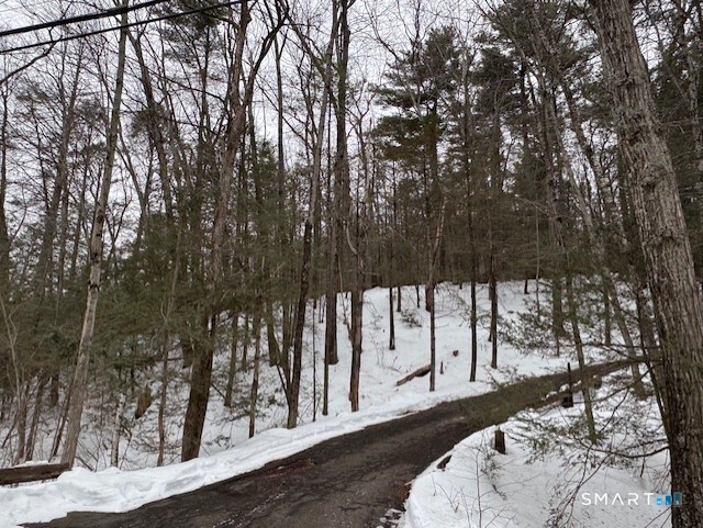 a view of a trees from a backyard