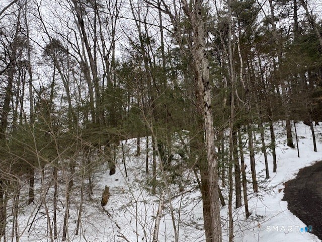 52 Shingle Mill Road Simsbury, CT 06092 - Photo 5 of 8