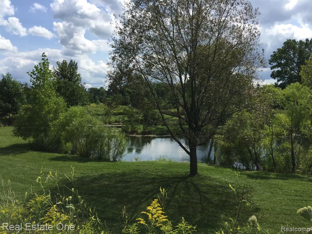 Vac Crofoot Road Howell, MI 48843 - Photo 4 of 6