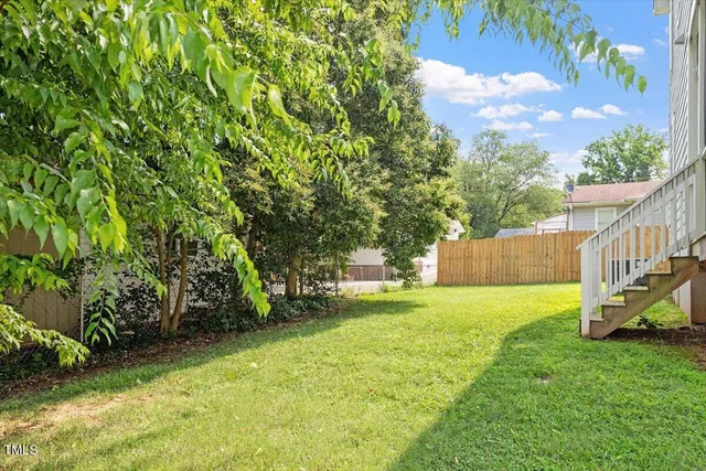 a view of a backyard with plants and large trees